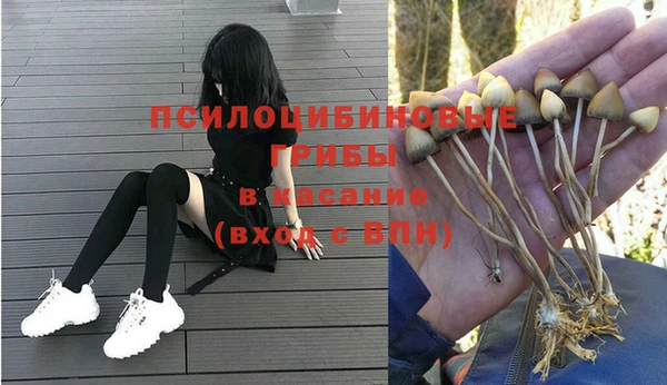 твердый Фурманов