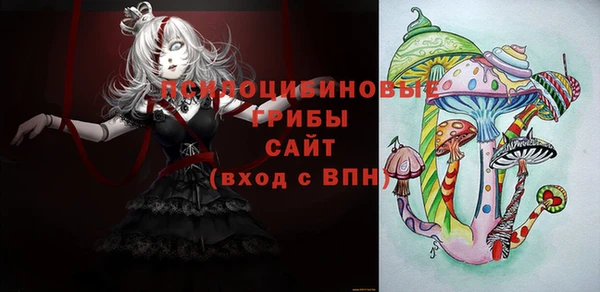 Альфа ПВП Ханты-Мансийск