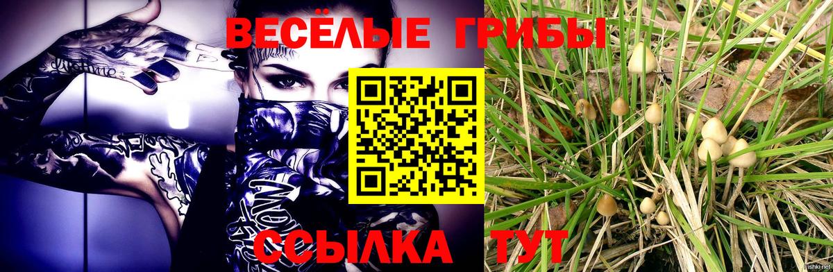 Псилоцибиновые грибы Psilocybine cubensis  Псилоцибиновые грибы Psilocybine cubensis  Иркутск 