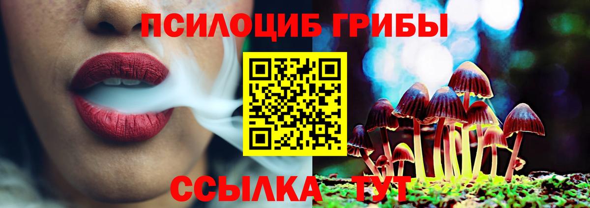 Иркутск  Галлюциногенные грибы мицелий  где можно купить   Вход с VPN 
