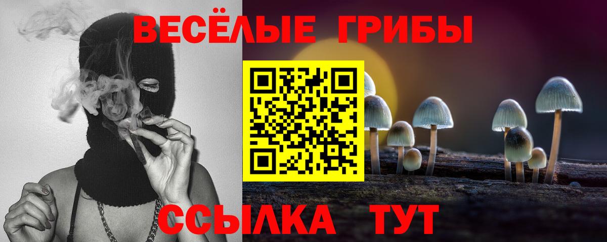 Псилоцибиновые грибы Psilocybine cubensis Иркутск